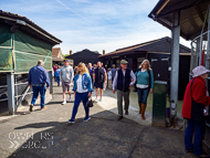 PN170422-159 - Paul Nicholls Stable Visit